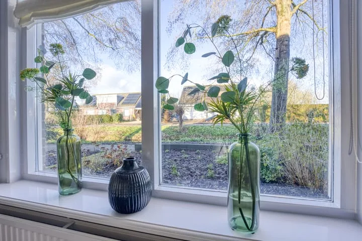 Zanglijster 20 Venhuizen thumbnail 20