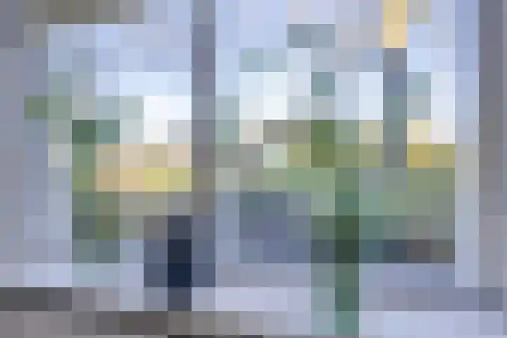 Zanglijster 20 Venhuizen thumbnail 20