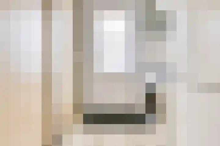 Zanglijster 20 Venhuizen thumbnail 21