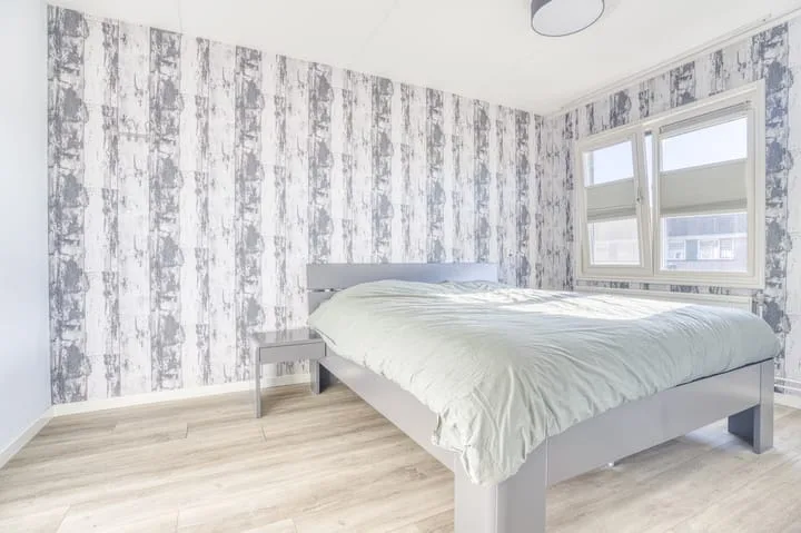 Zanglijster 20 Venhuizen thumbnail 25