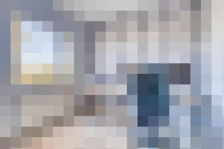 Zanglijster 20 Venhuizen thumbnail 27