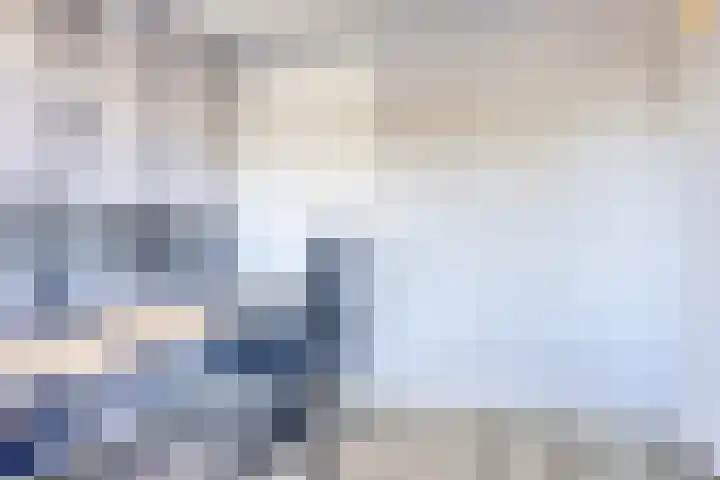 Zanglijster 20 Venhuizen thumbnail 28