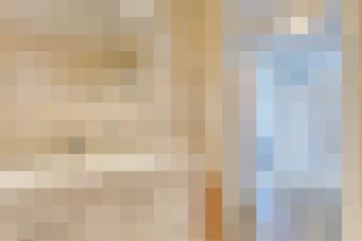 Zanglijster 20 Venhuizen thumbnail 32