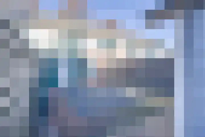 Zanglijster 20 Venhuizen thumbnail 37