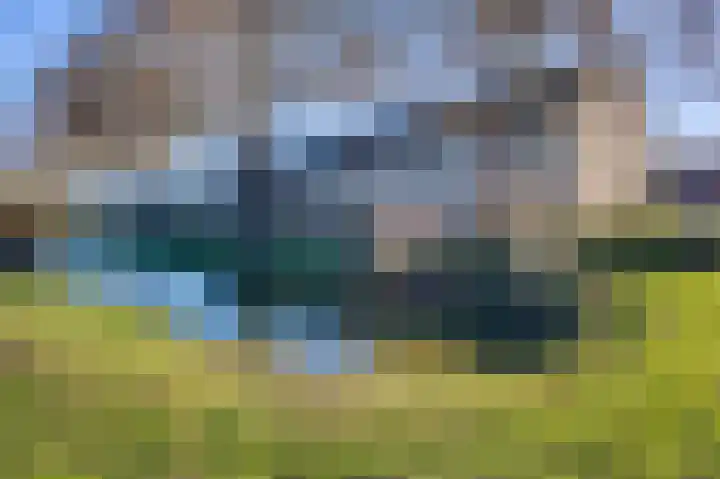 Zanglijster 20 Venhuizen thumbnail 39