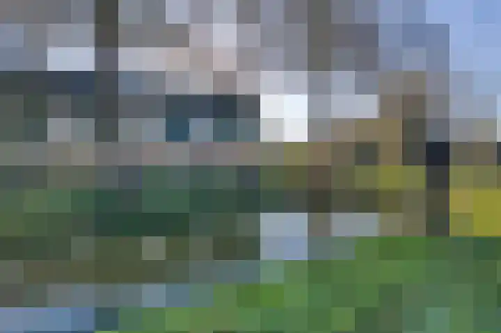 Zanglijster 20 Venhuizen thumbnail 4