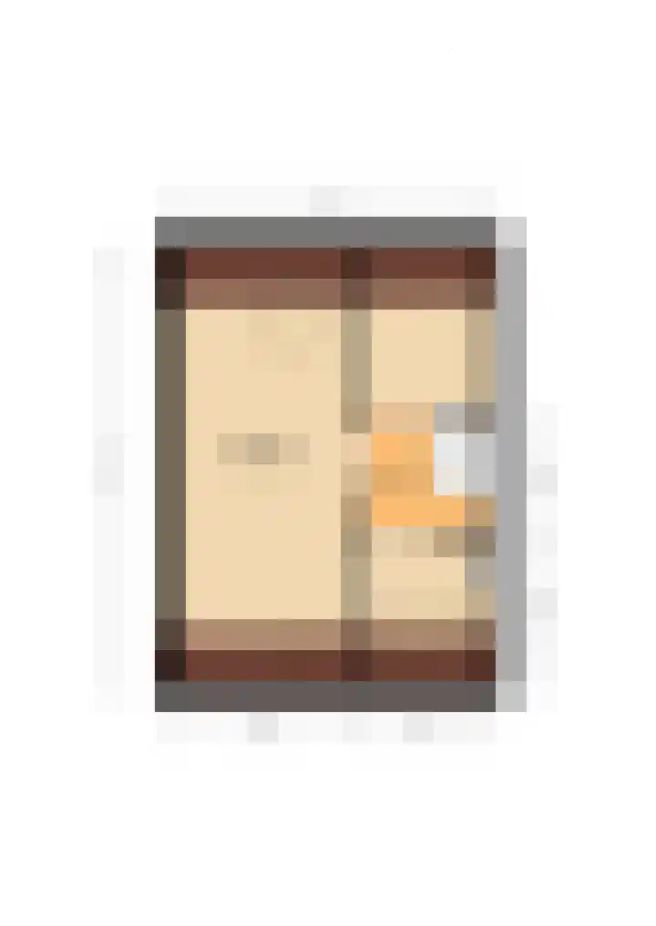 Zanglijster 20 Venhuizen thumbnail 42