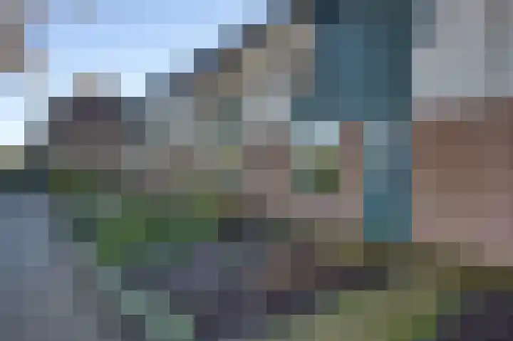 Zanglijster 20 Venhuizen thumbnail 5