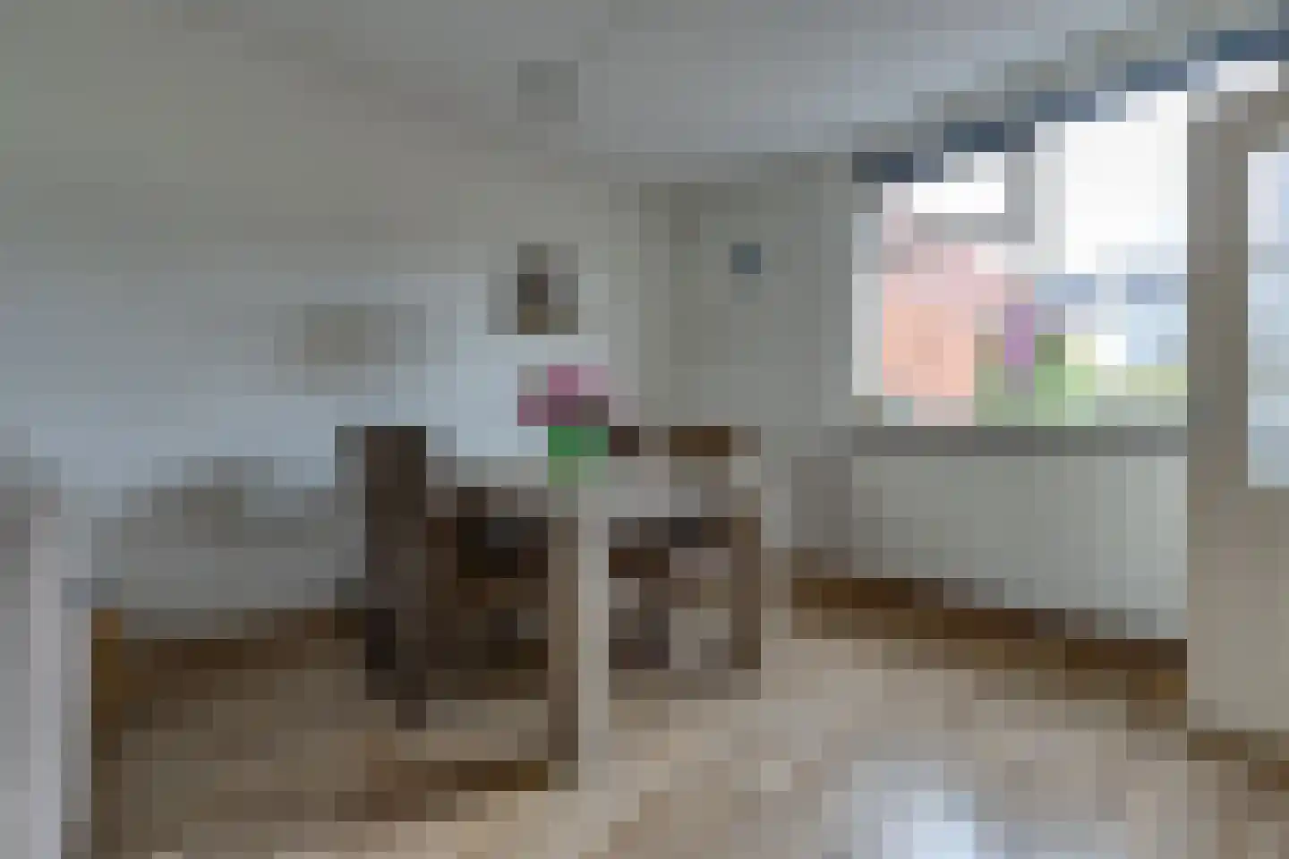 Zanglijster 26 Ter Apel thumbnail 10
