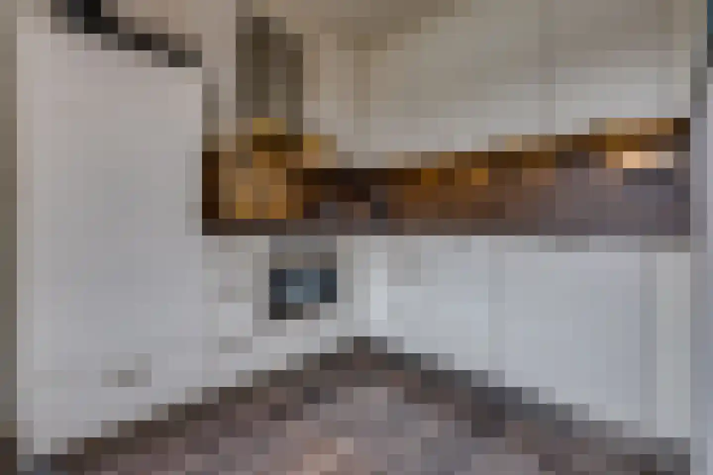 Zanglijster 26 Ter Apel thumbnail 12