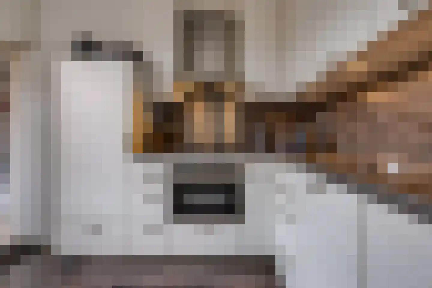 Zanglijster 26 Ter Apel thumbnail 15