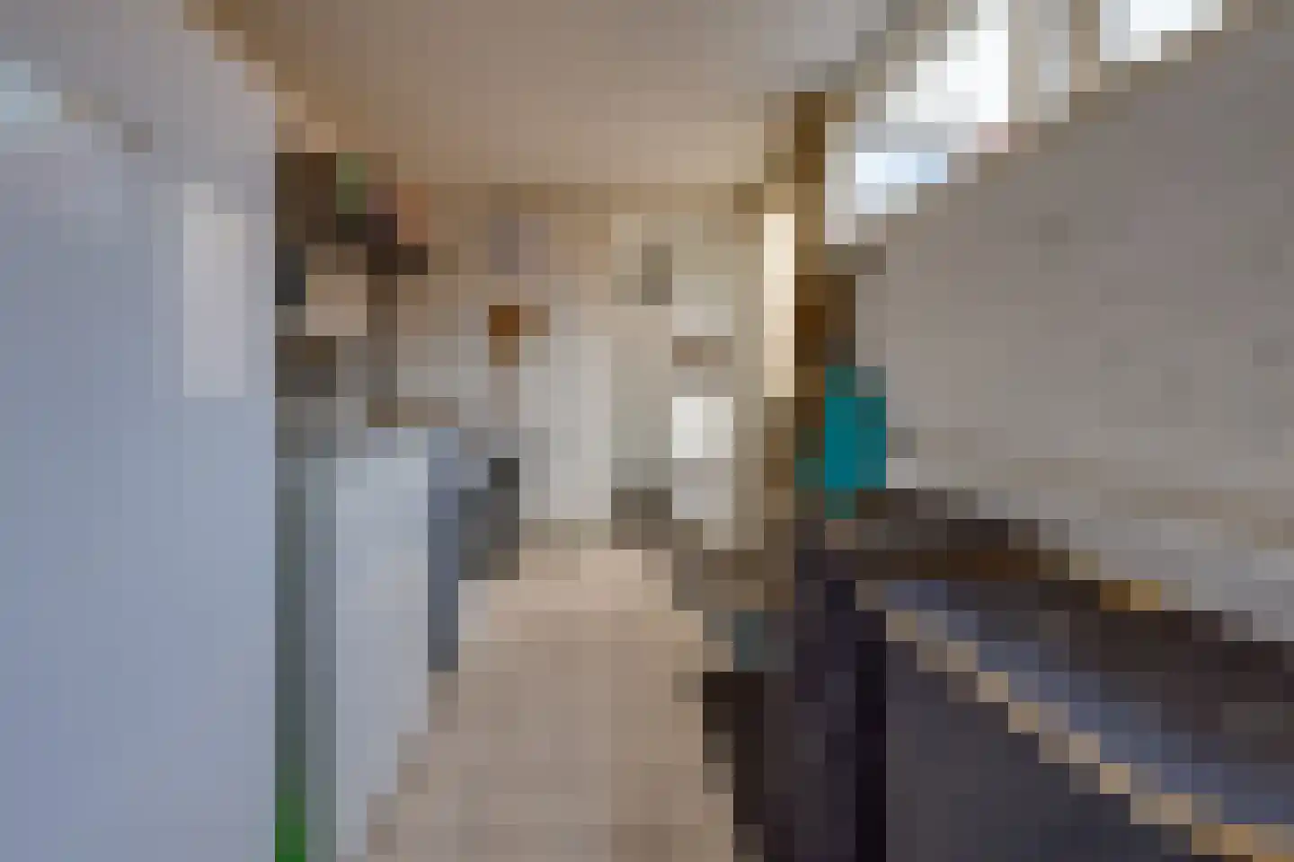 Zanglijster 26 Ter Apel thumbnail 17