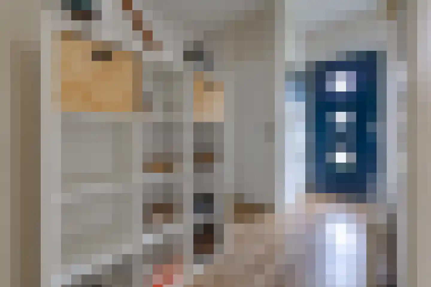 Zanglijster 26 Ter Apel thumbnail 18