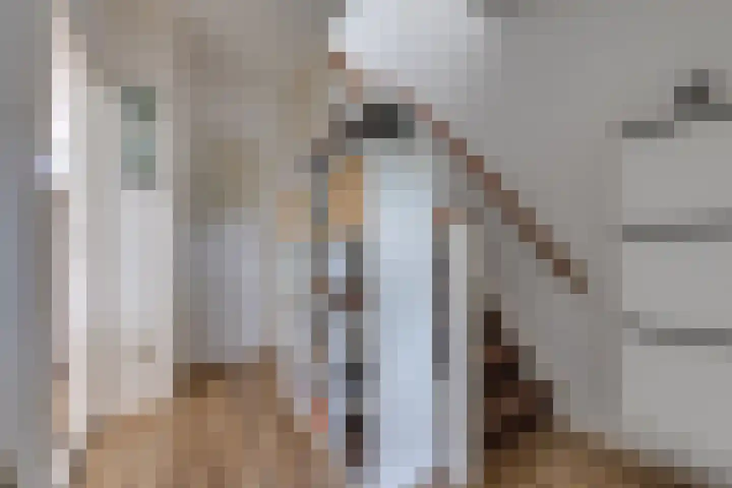Zanglijster 26 Ter Apel thumbnail 20