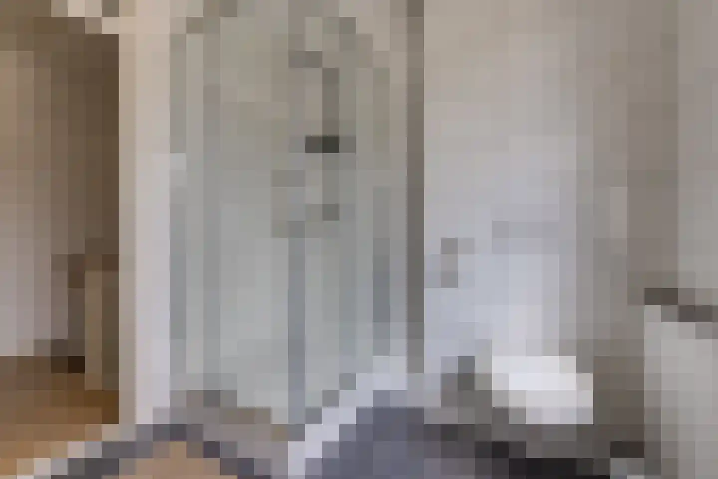 Zanglijster 26 Ter Apel thumbnail 24
