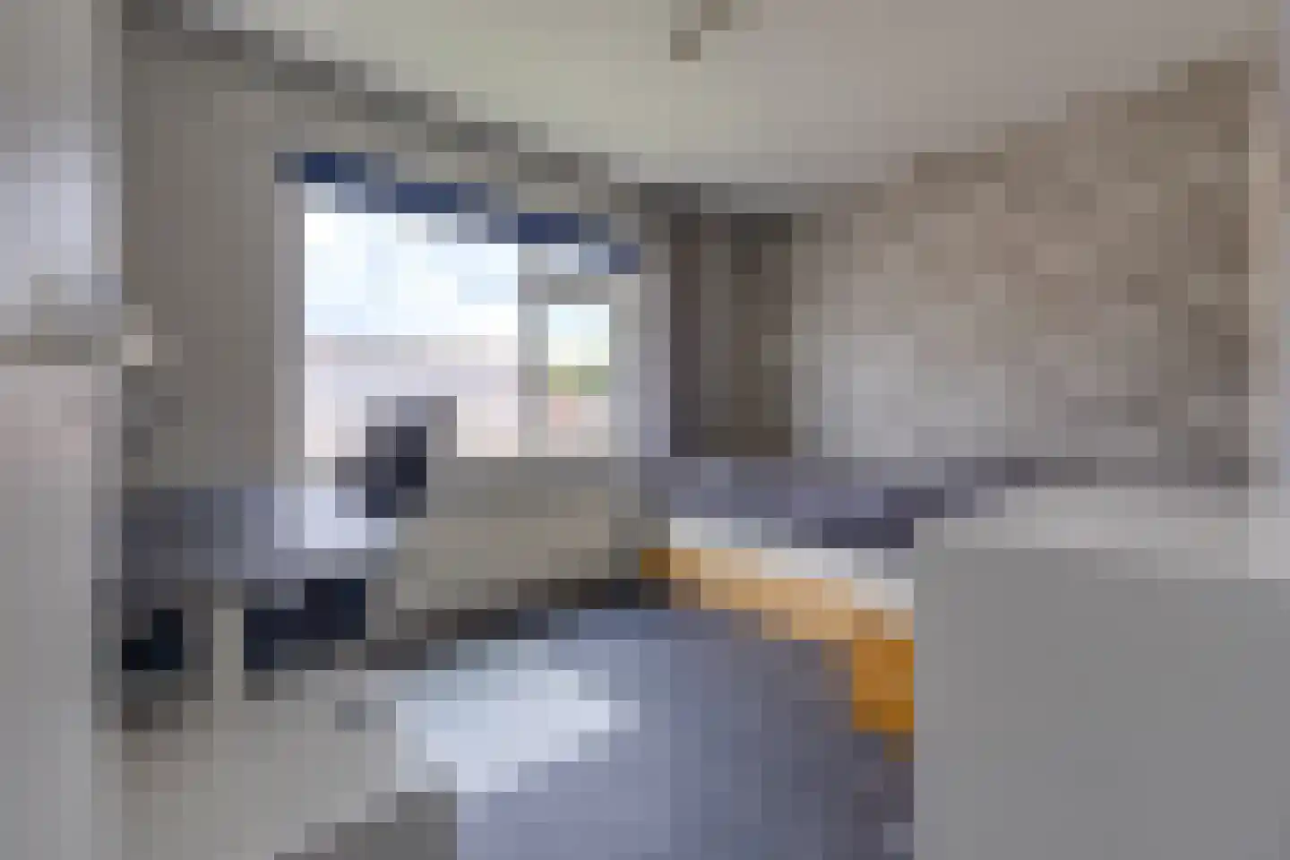 Zanglijster 26 Ter Apel thumbnail 26