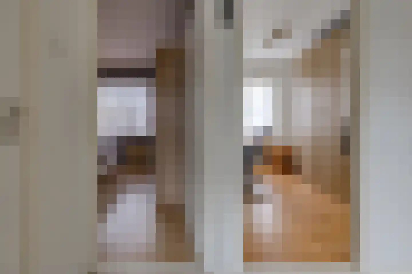 Zanglijster 26 Ter Apel thumbnail 28