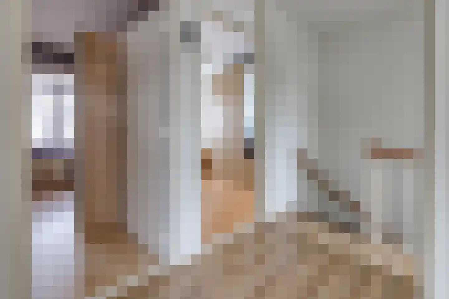 Zanglijster 26 Ter Apel thumbnail 29
