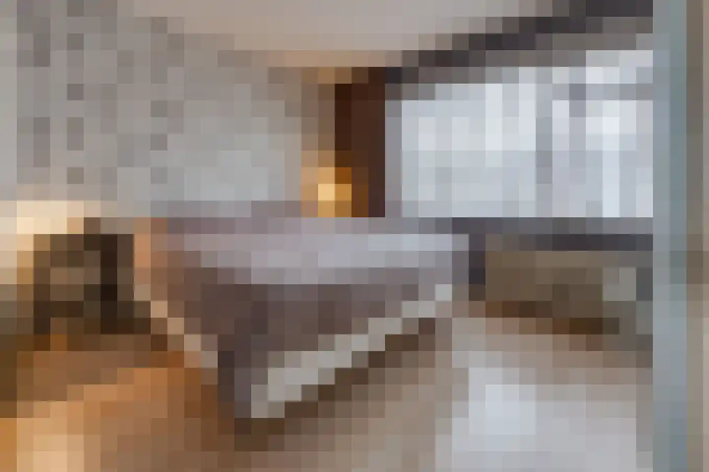Zanglijster 26 Ter Apel thumbnail 30