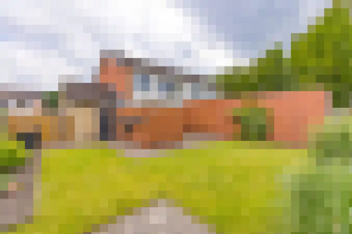 Zanglijster 26 Ter Apel thumbnail 34