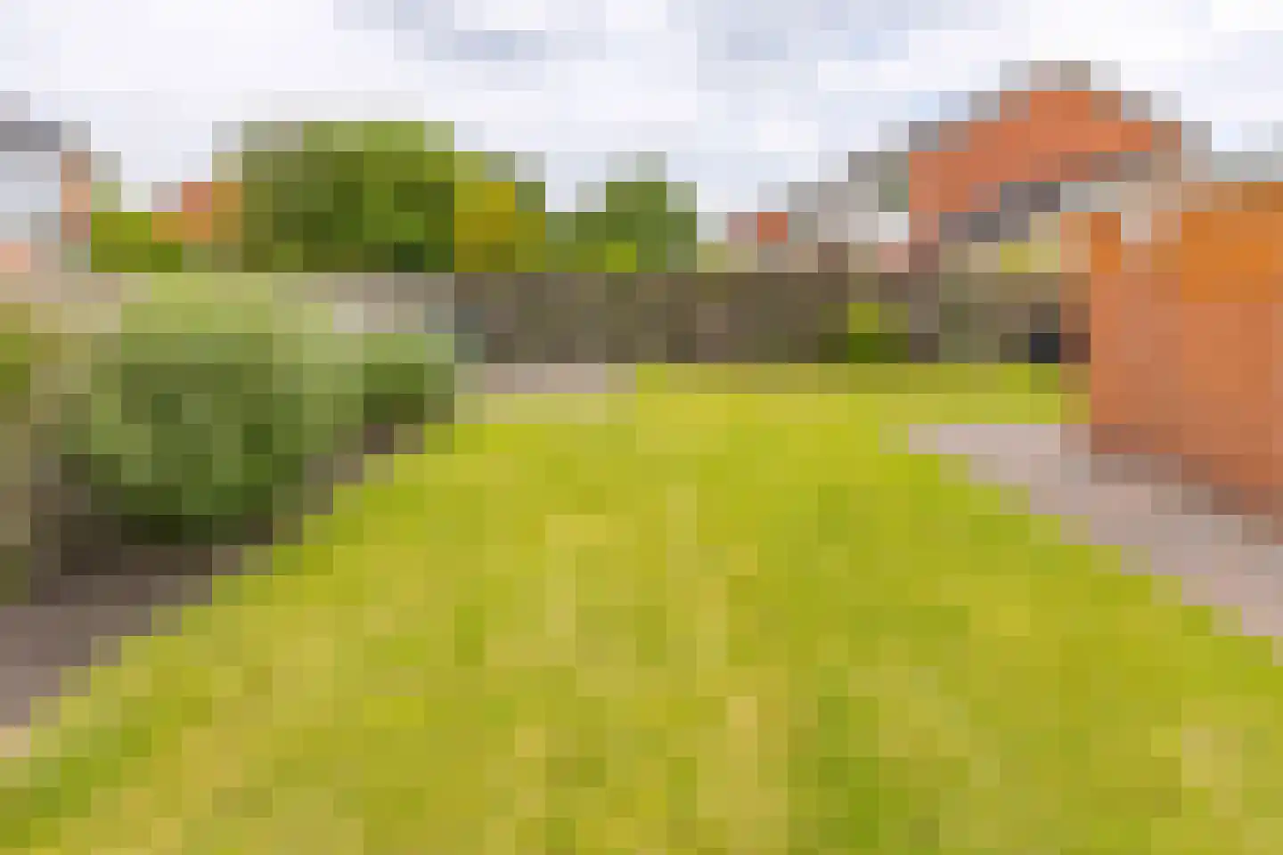 Zanglijster 26 Ter Apel thumbnail 37