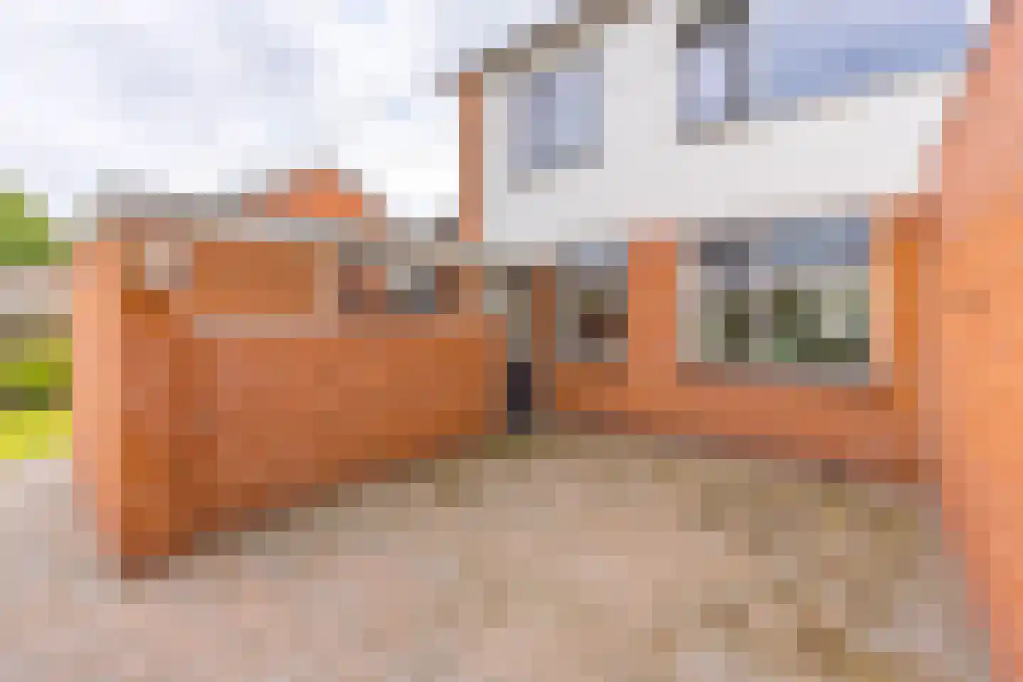 Zanglijster 26 Ter Apel thumbnail 38