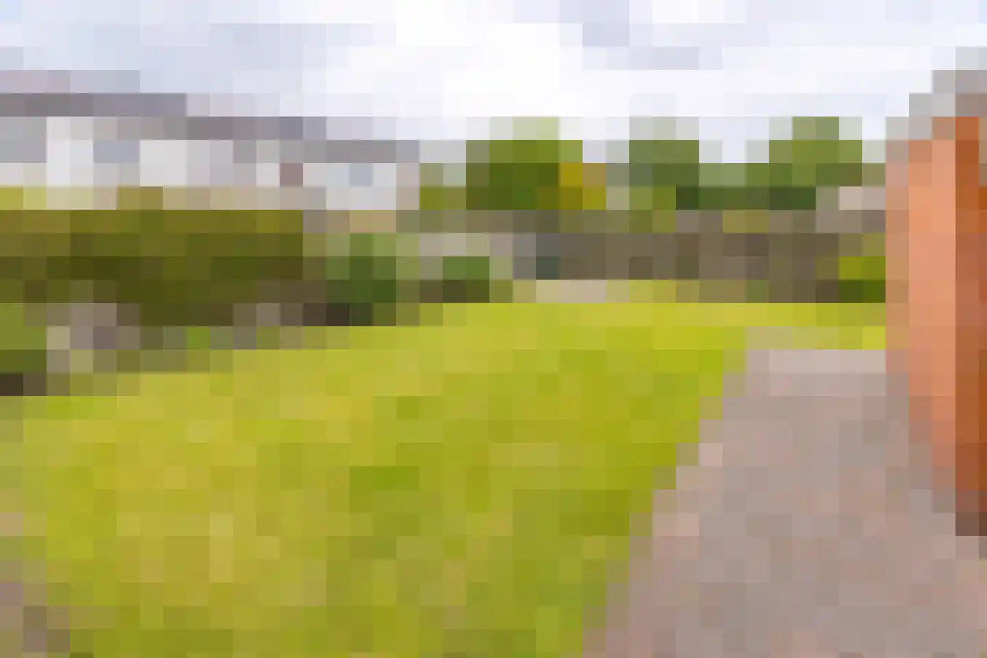 Zanglijster 26 Ter Apel thumbnail 39