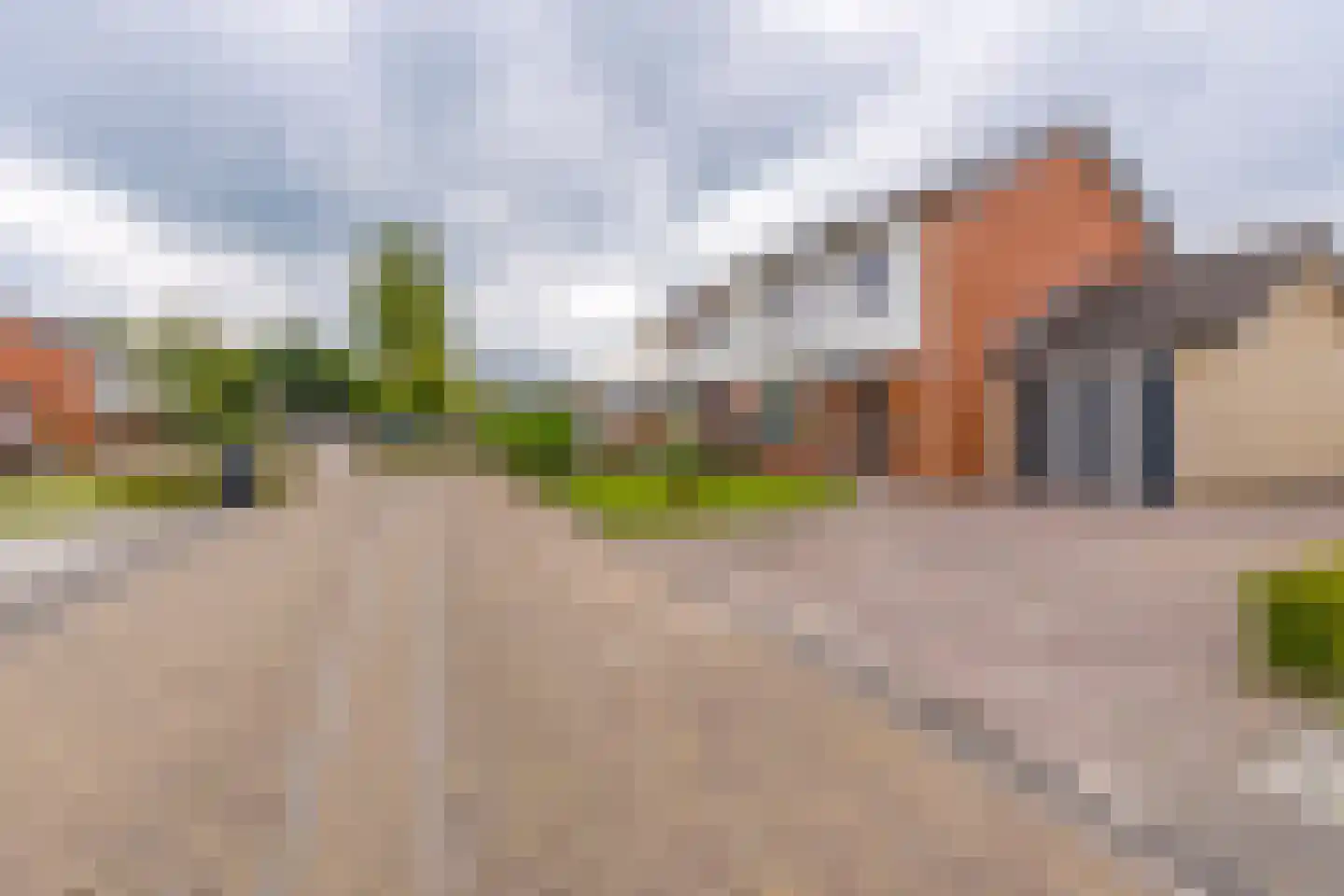 Zanglijster 26 Ter Apel thumbnail 6