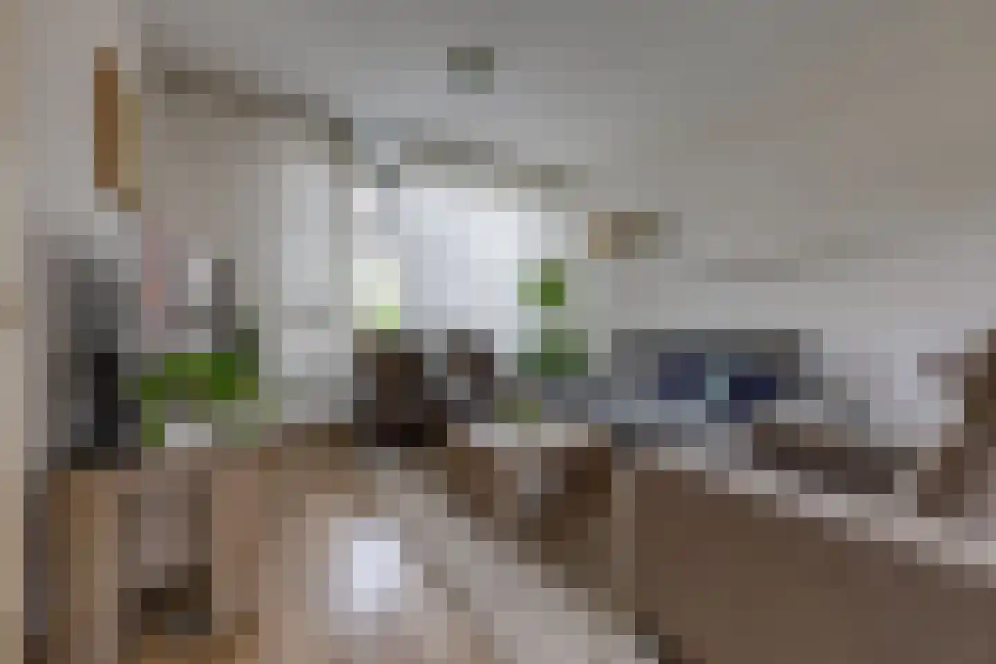 Zanglijster 26 Ter Apel thumbnail 7
