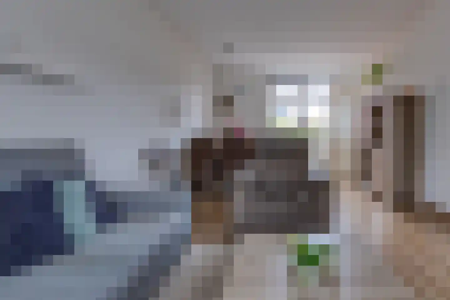 Zanglijster 26 Ter Apel thumbnail 8