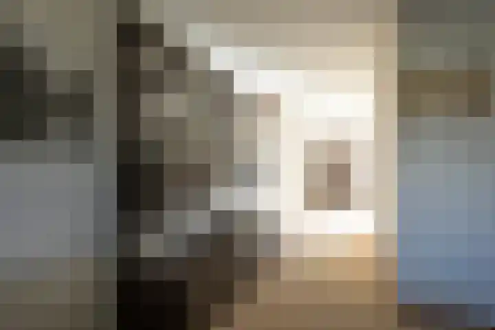 Zanglijster 4 Ouderkerk aan de Amstel thumbnail 12