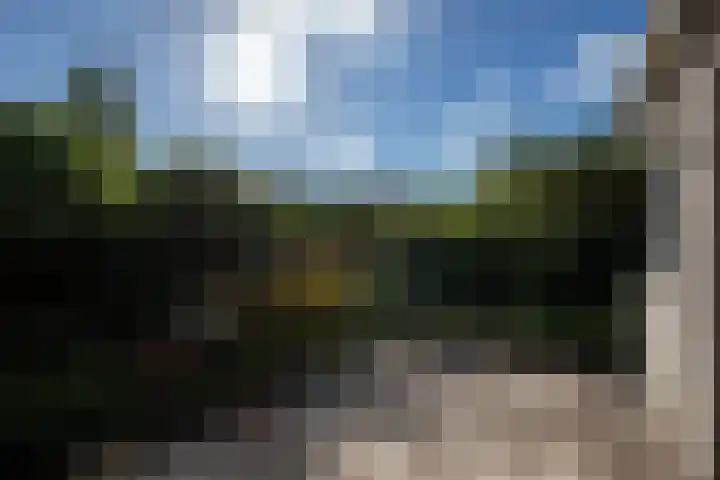 Zanglijster 4 Ouderkerk aan de Amstel thumbnail 22
