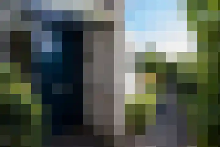 Zanglijster 4 Ouderkerk aan de Amstel thumbnail 6