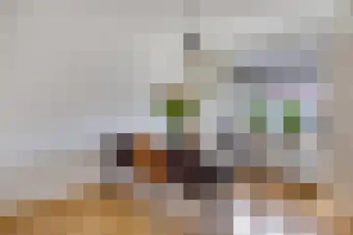 Zanglijster 42 Bunschoten-Spakenburg thumbnail 12