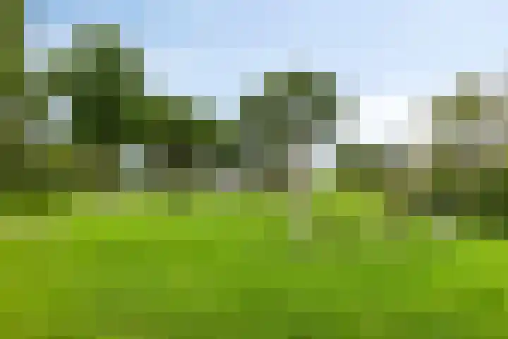Zanglijster 42 Bunschoten-Spakenburg thumbnail 31