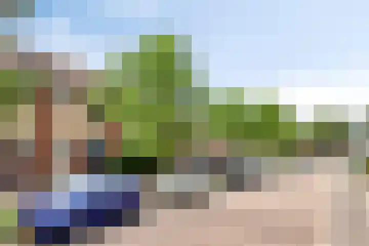 Zanglijster 42 Bunschoten-Spakenburg thumbnail 7