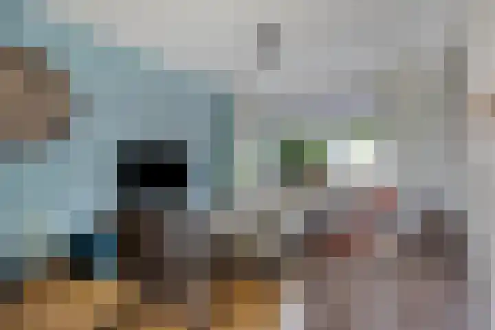 Zanglijster 42 Bunschoten-Spakenburg thumbnail 9