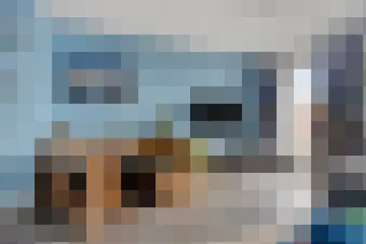 Zanglijster 58 Rhenen thumbnail 11