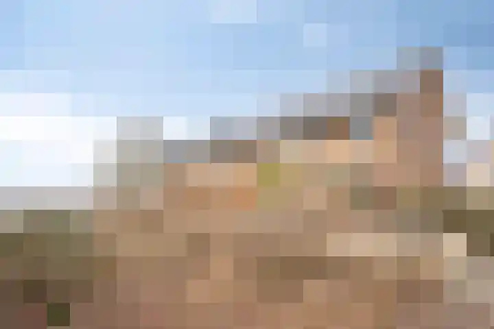 Zanglijster 58 Rhenen thumbnail 30