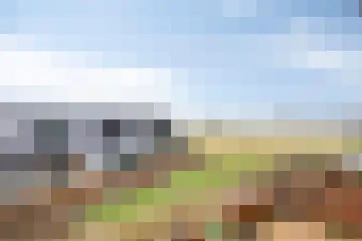Zanglijster 58 Rhenen thumbnail 4