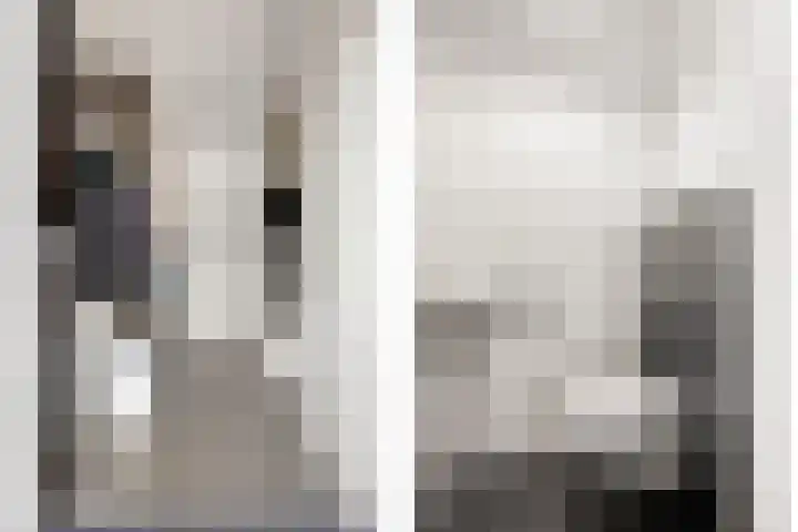 Zanglijster 58 Rhenen thumbnail 8