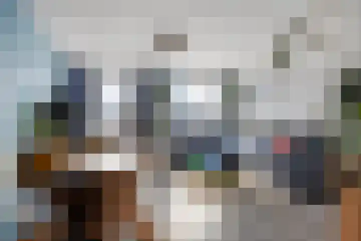 Zanglijster 58 Rhenen thumbnail 9