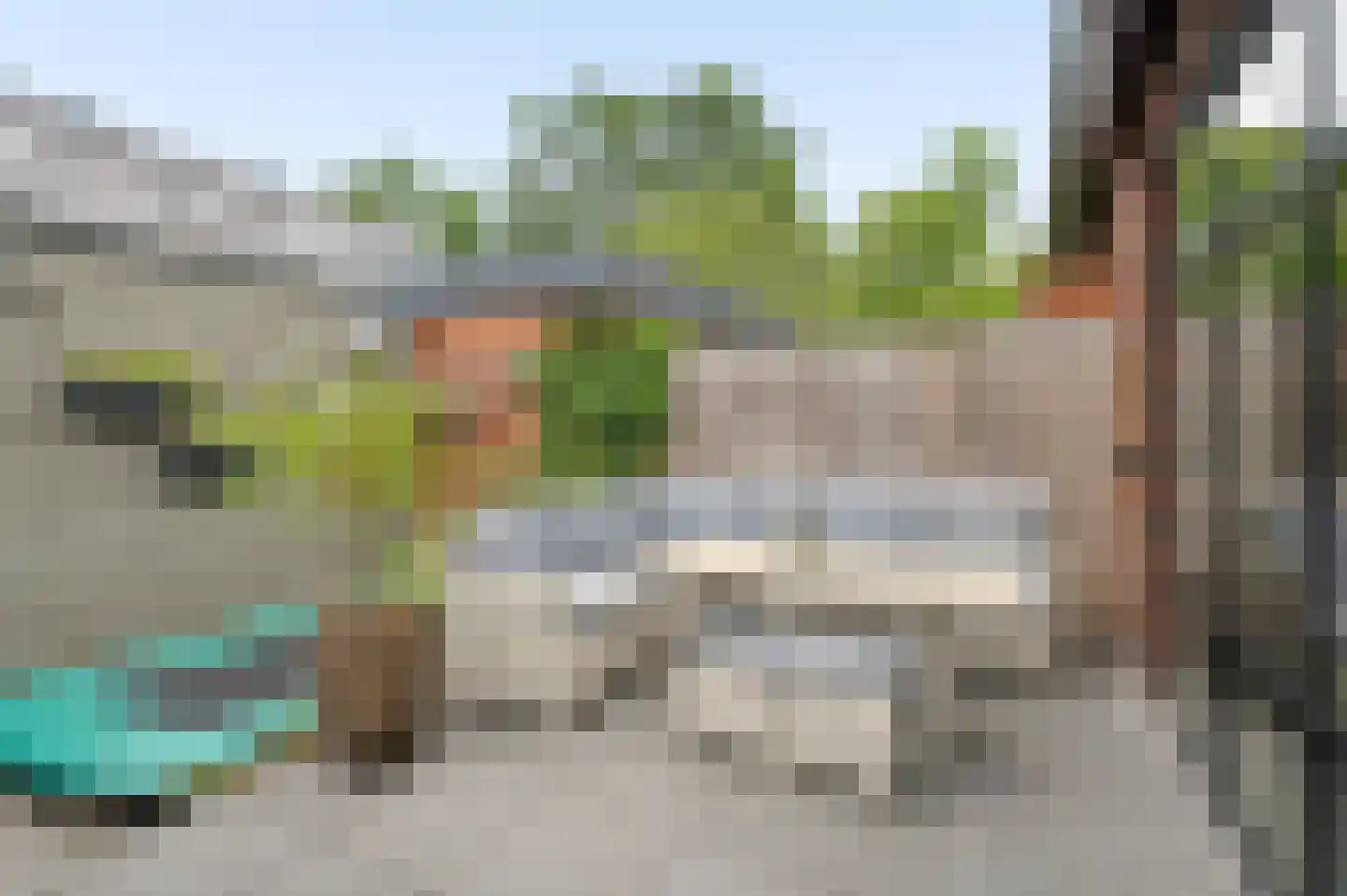 Zanglijster 77 Rhenen thumbnail 26