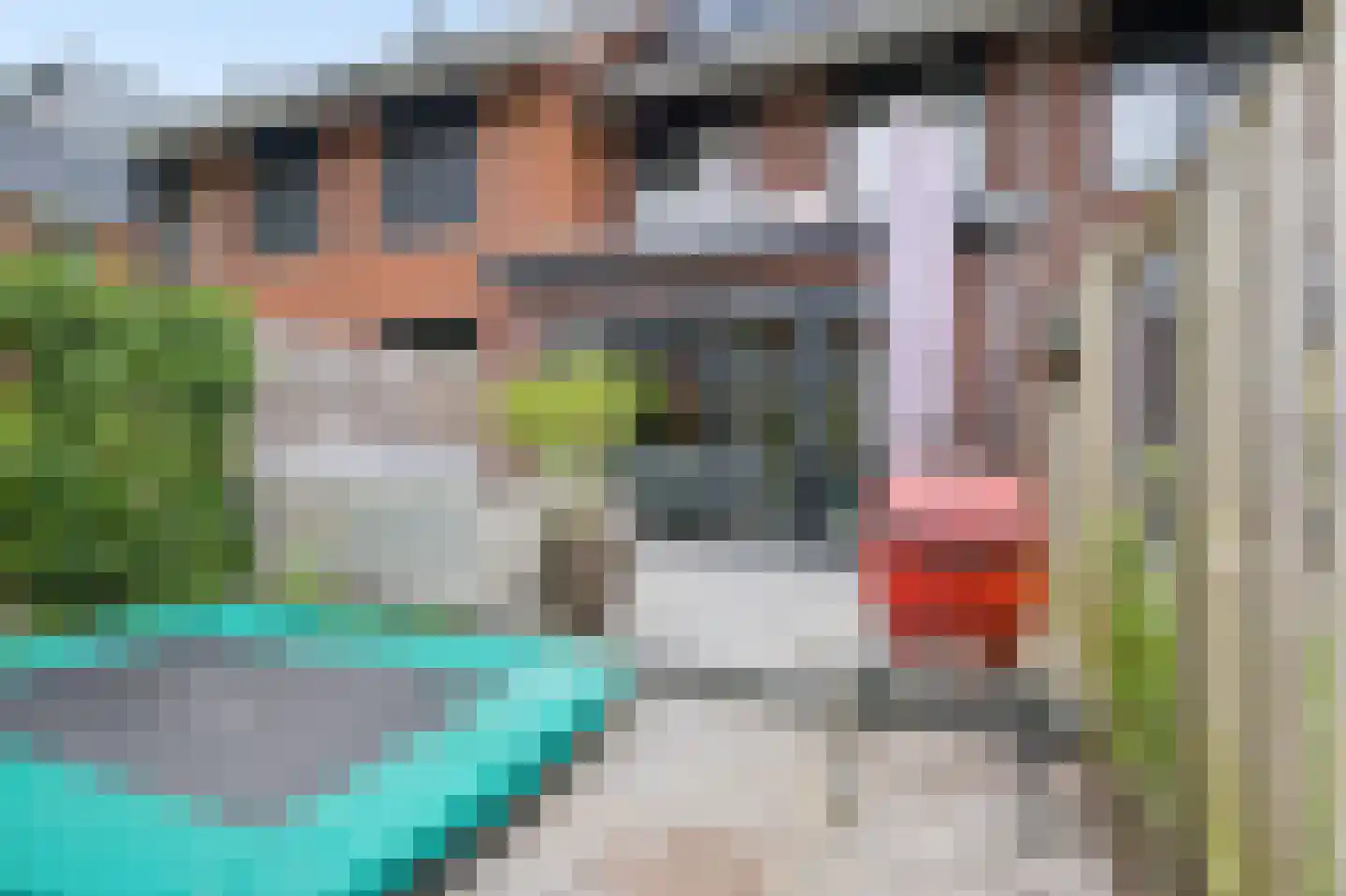 Zanglijster 77 Rhenen thumbnail 28
