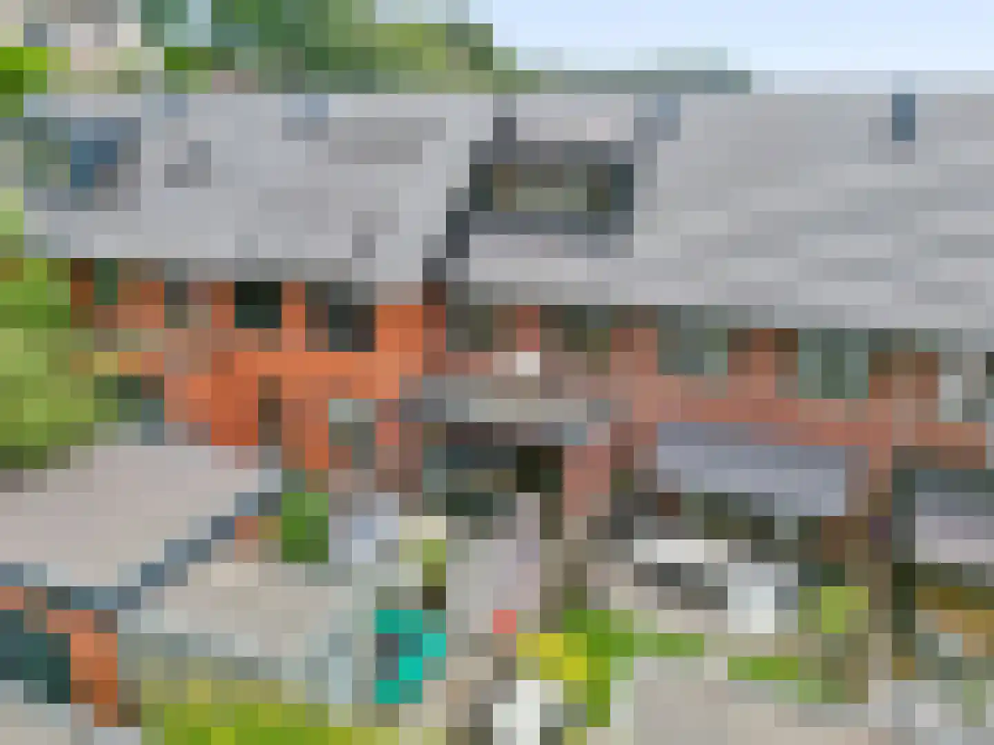 Zanglijster 77 Rhenen thumbnail 29