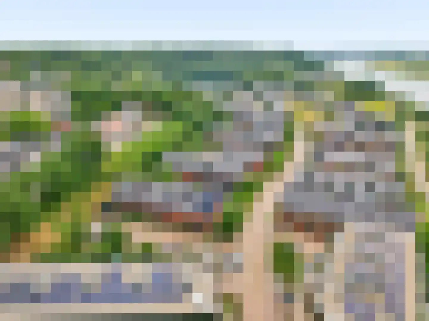Zanglijster 77 Rhenen thumbnail 30