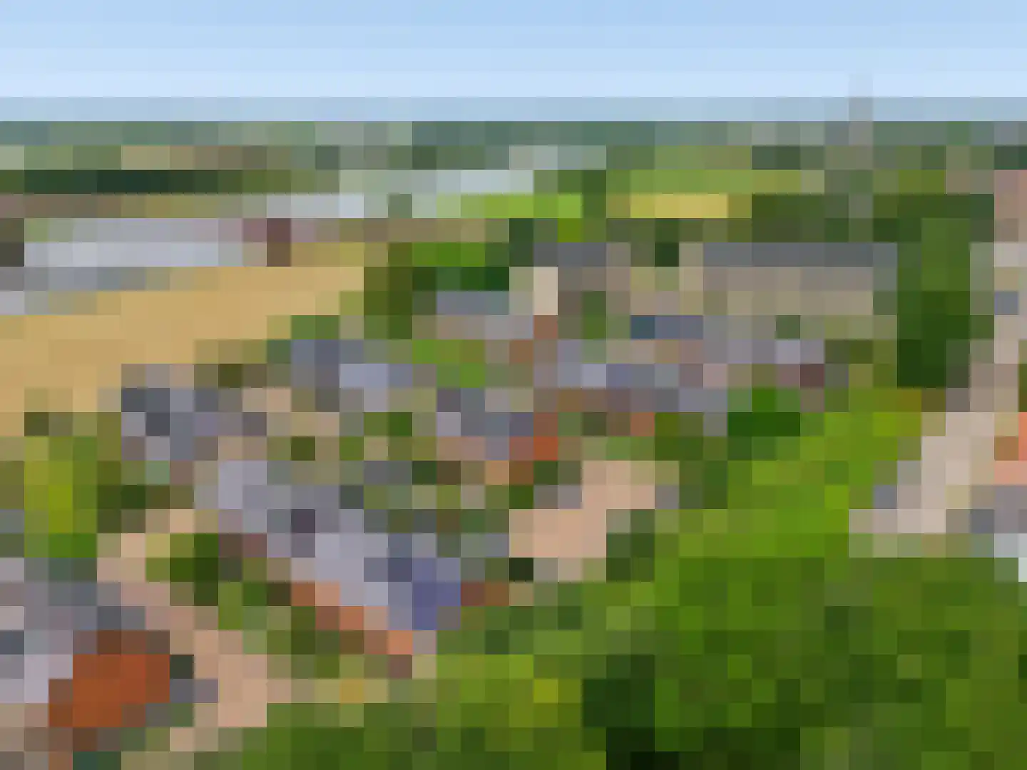 Zanglijster 77 Rhenen thumbnail 32