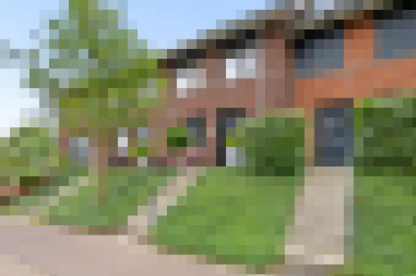 Zanglijster 77 Rhenen thumbnail 5
