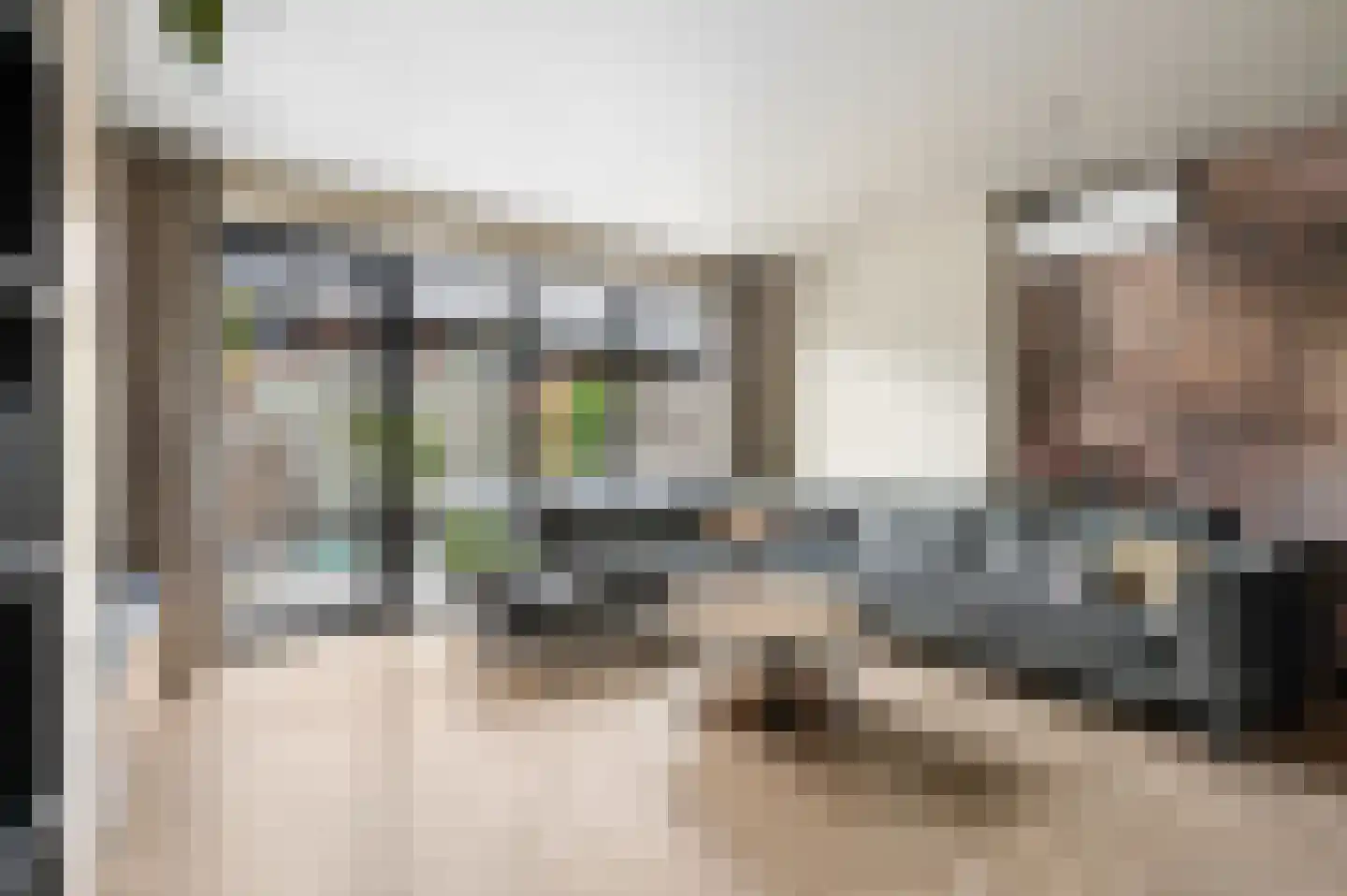 Zanglijster 77 Rhenen thumbnail 9