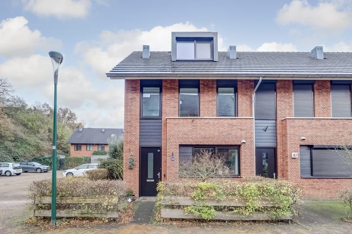 Zanglijster 89 in Rhenen foto